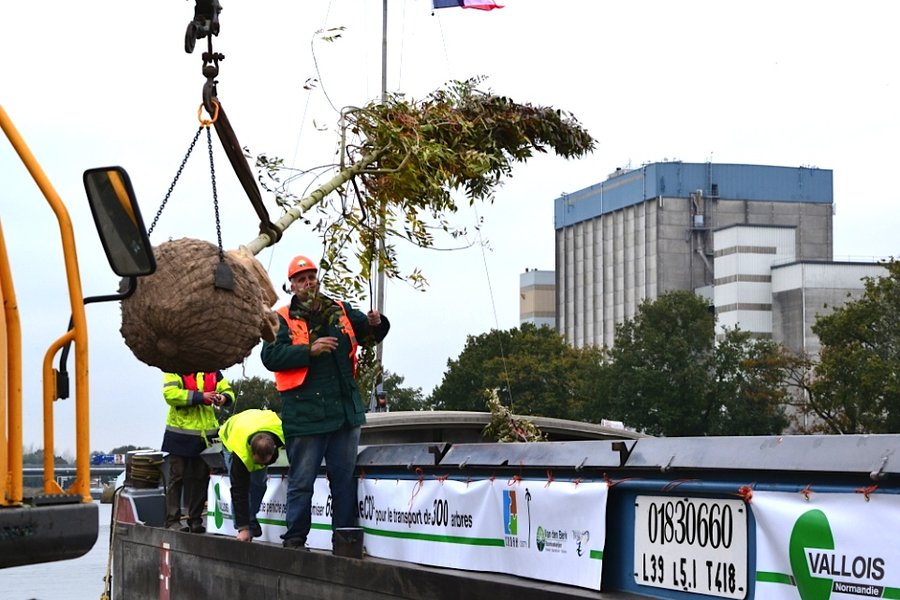 300_arbres_dans_une_barge.jpg
