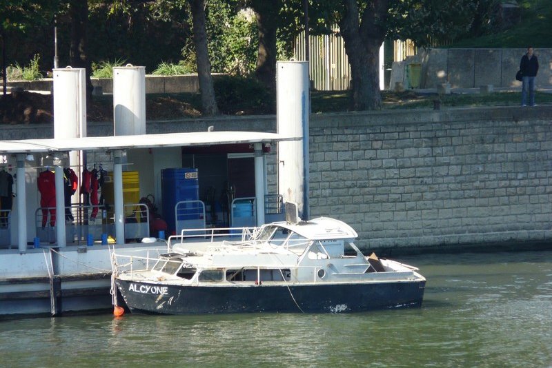 Alcyone version light.jpg