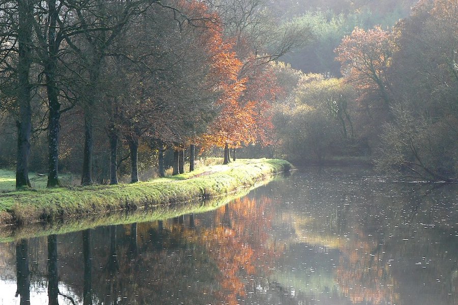 automne_sur_le_canal.jpg