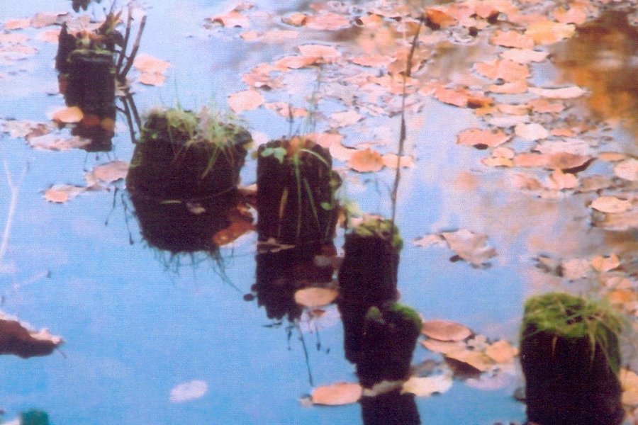 expo Francois Rescan Maison du canal.jpg