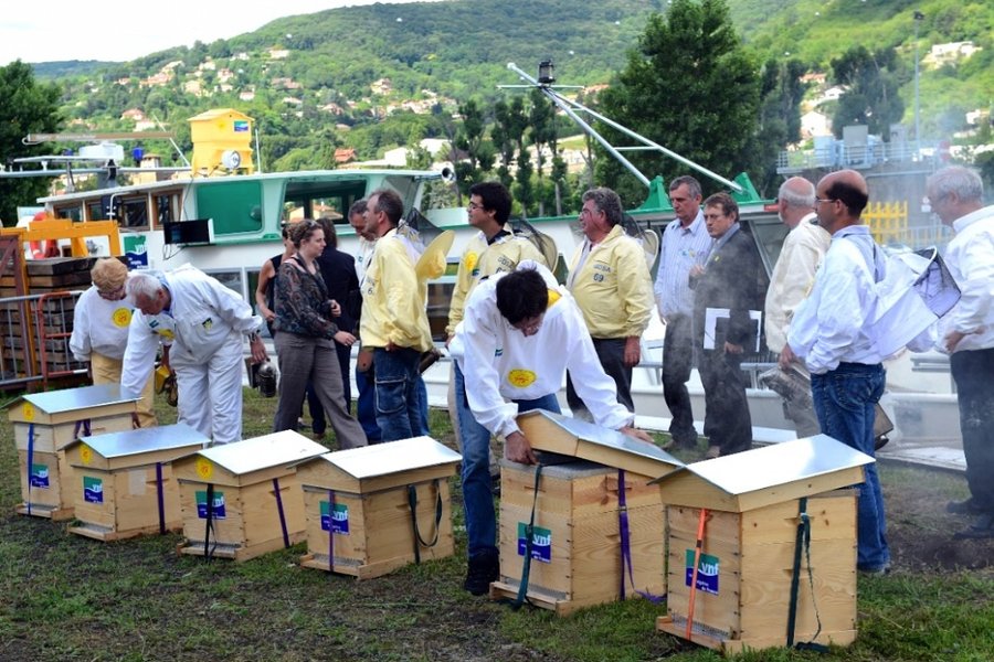 les_abeilles_de_vnf.jpg